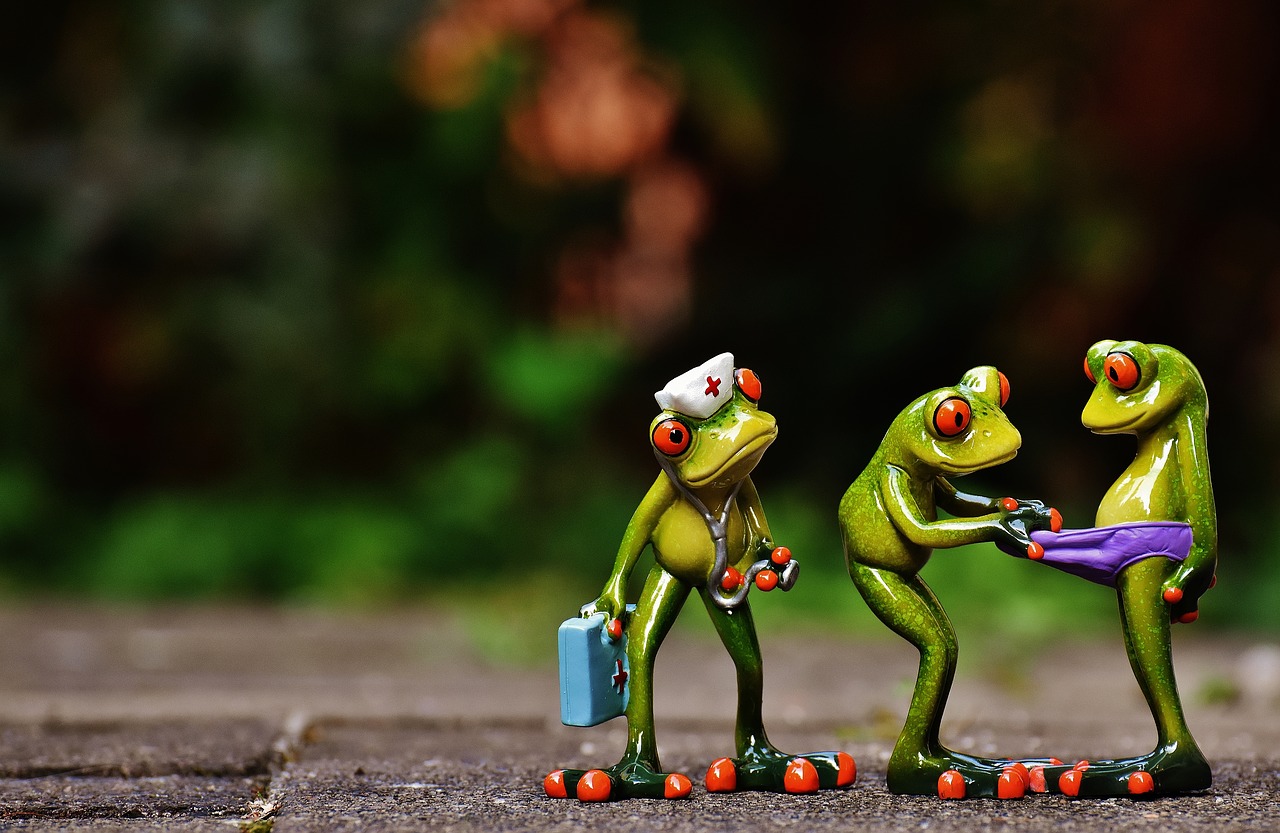 frogs emergency figures free photo