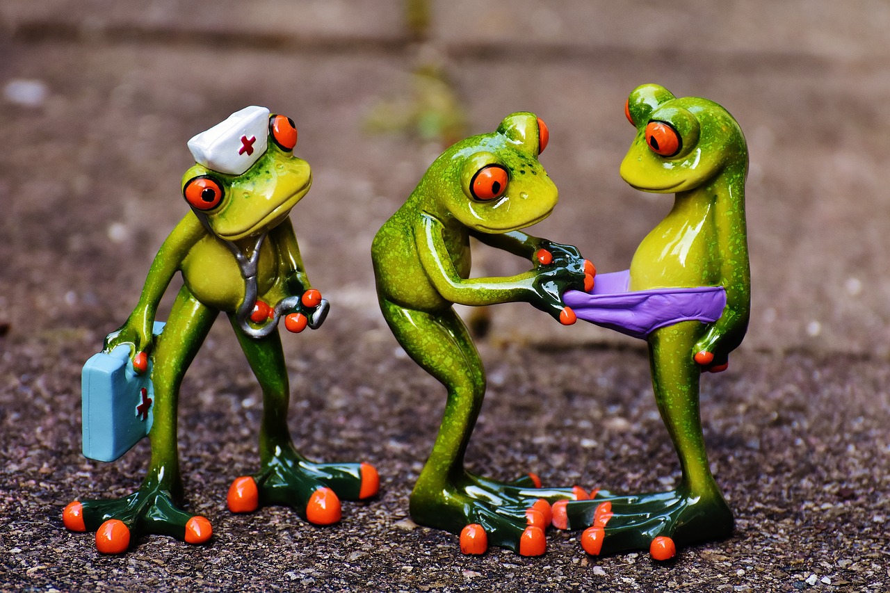 frogs emergency figures free photo