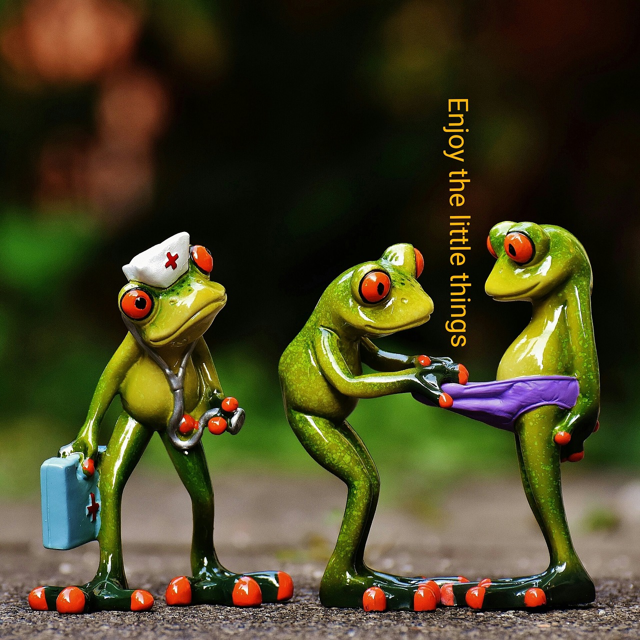 frogs enjoy the little things funny free photo