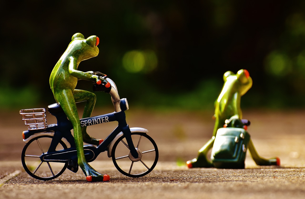 frogs farewell bike free photo