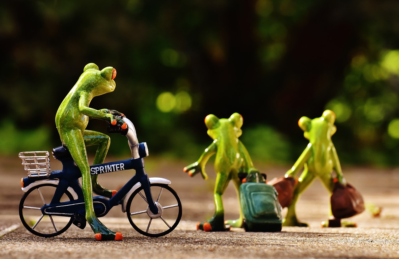 frogs farewell bike free photo