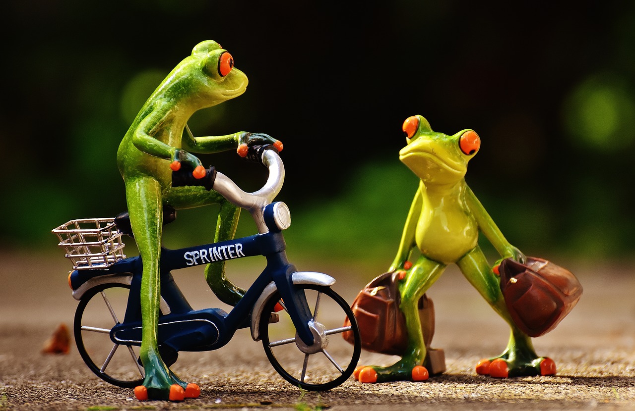 frogs arrive bike free photo