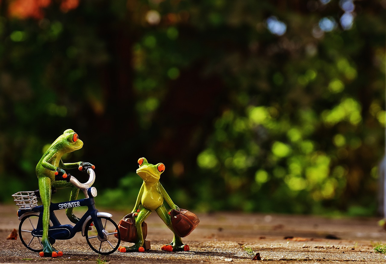 frogs arrive bike free photo