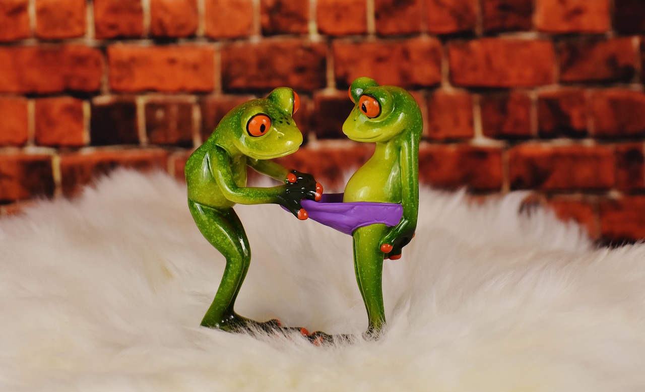 frogs lambskin curious free photo