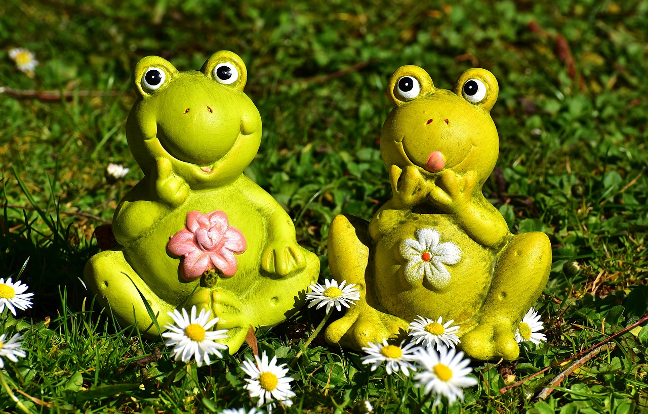 frogs figures funny free photo