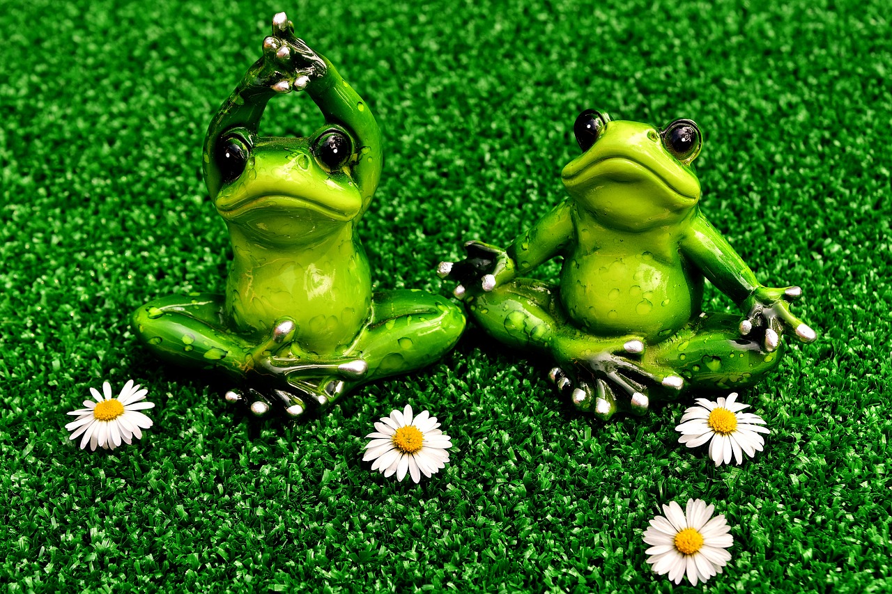 frogs yoga meadow free photo