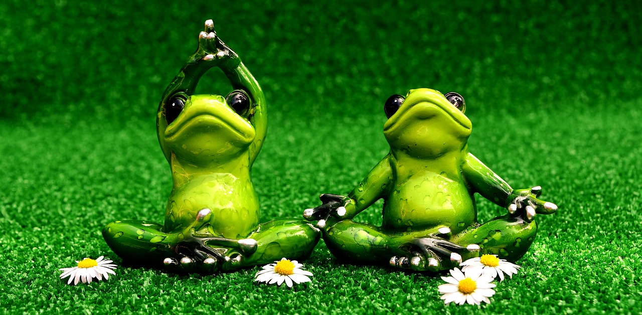 frogs yoga meadow free photo