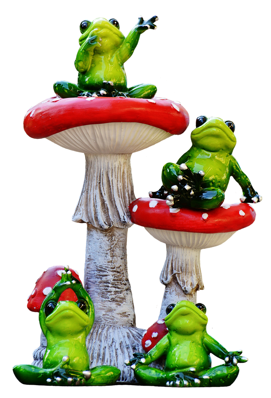 frogs funny mushrooms free photo