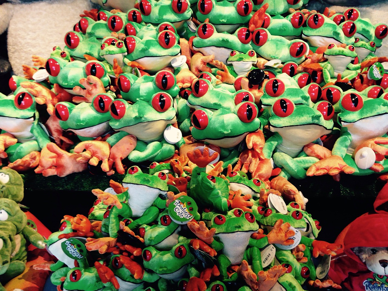 frogs amphibian toys free photo