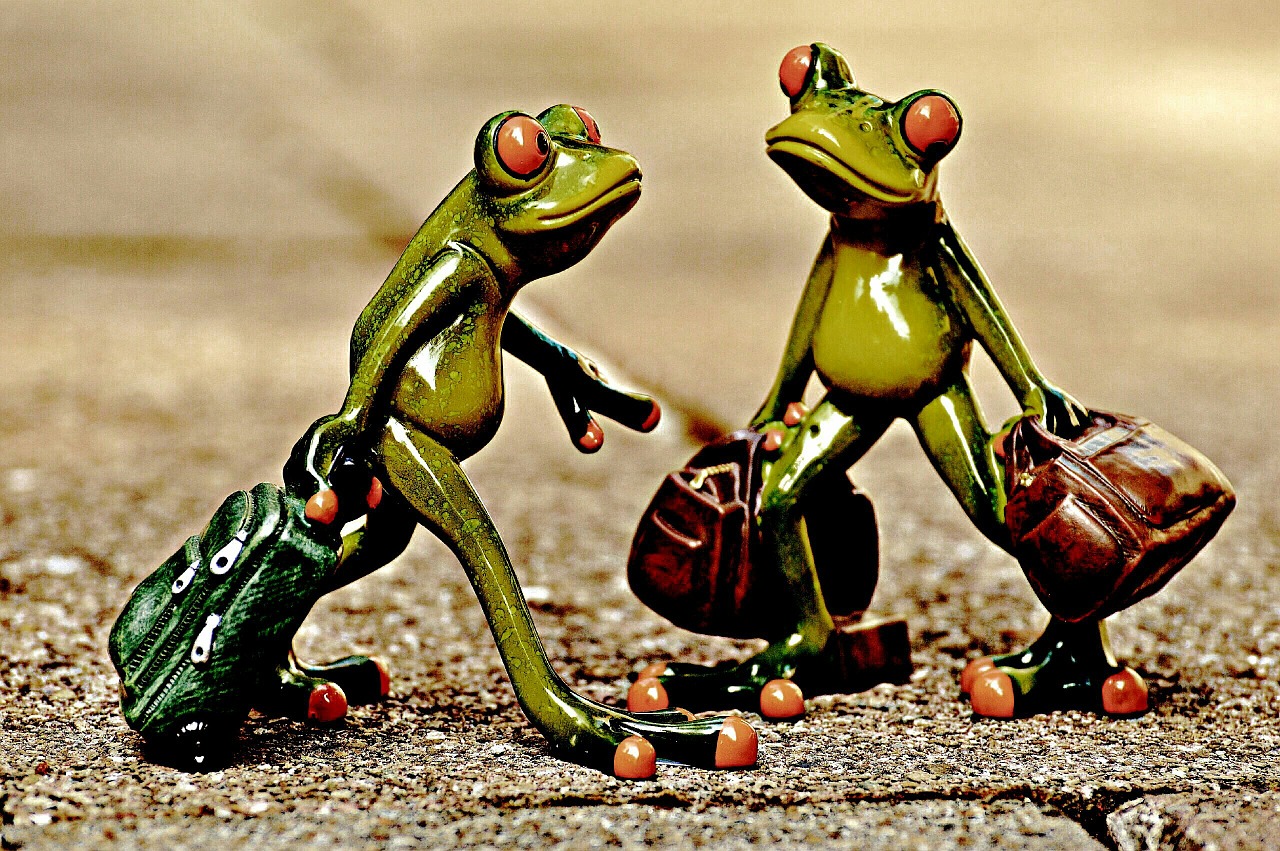 frogs vintage funny free photo