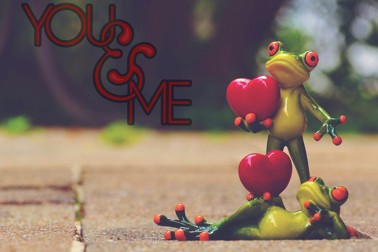 Frogs,pair,love,greeting card,valentine's day - free image from needpix.com