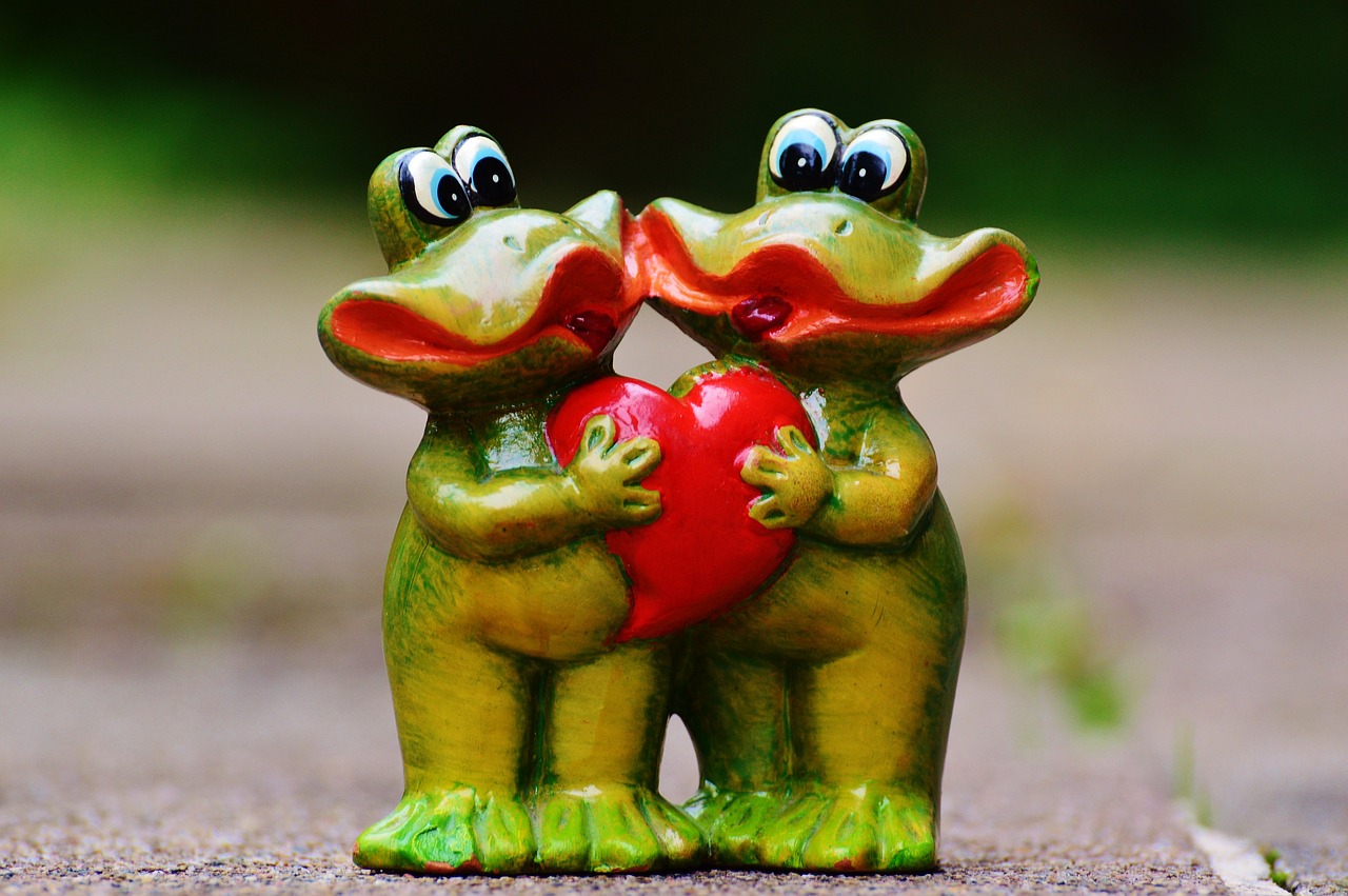 frogs pair funny free photo