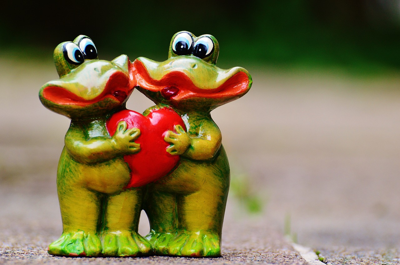 frogs pair funny free photo