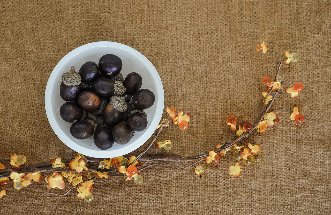 from above acorns fall colors free photo