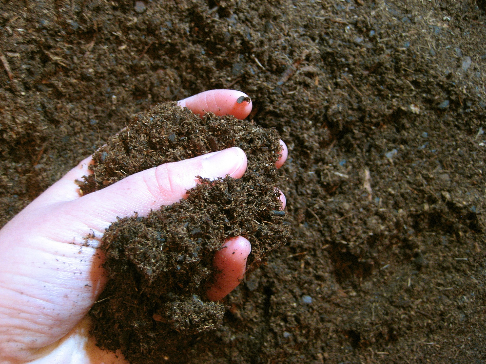 dirt soil earth free photo