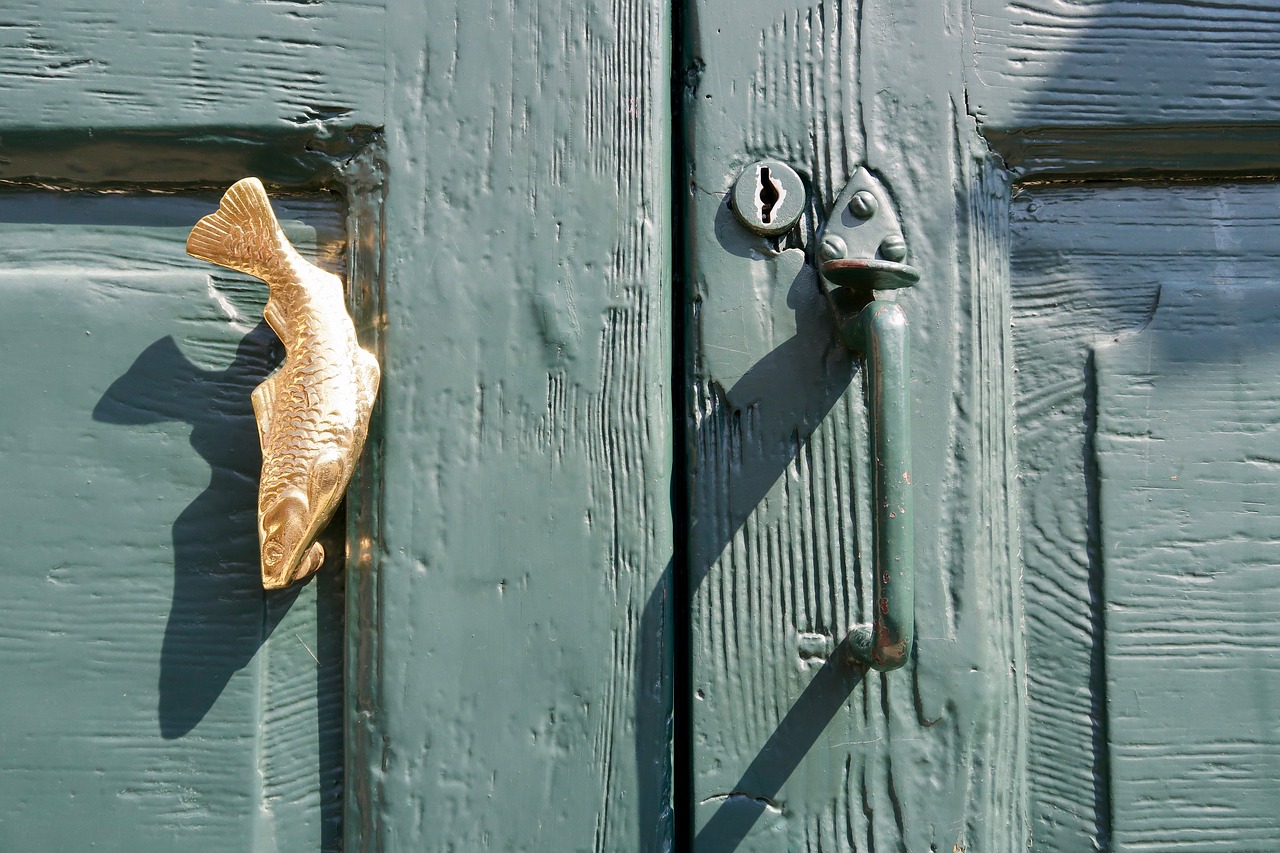 front door  door handle  fish free photo
