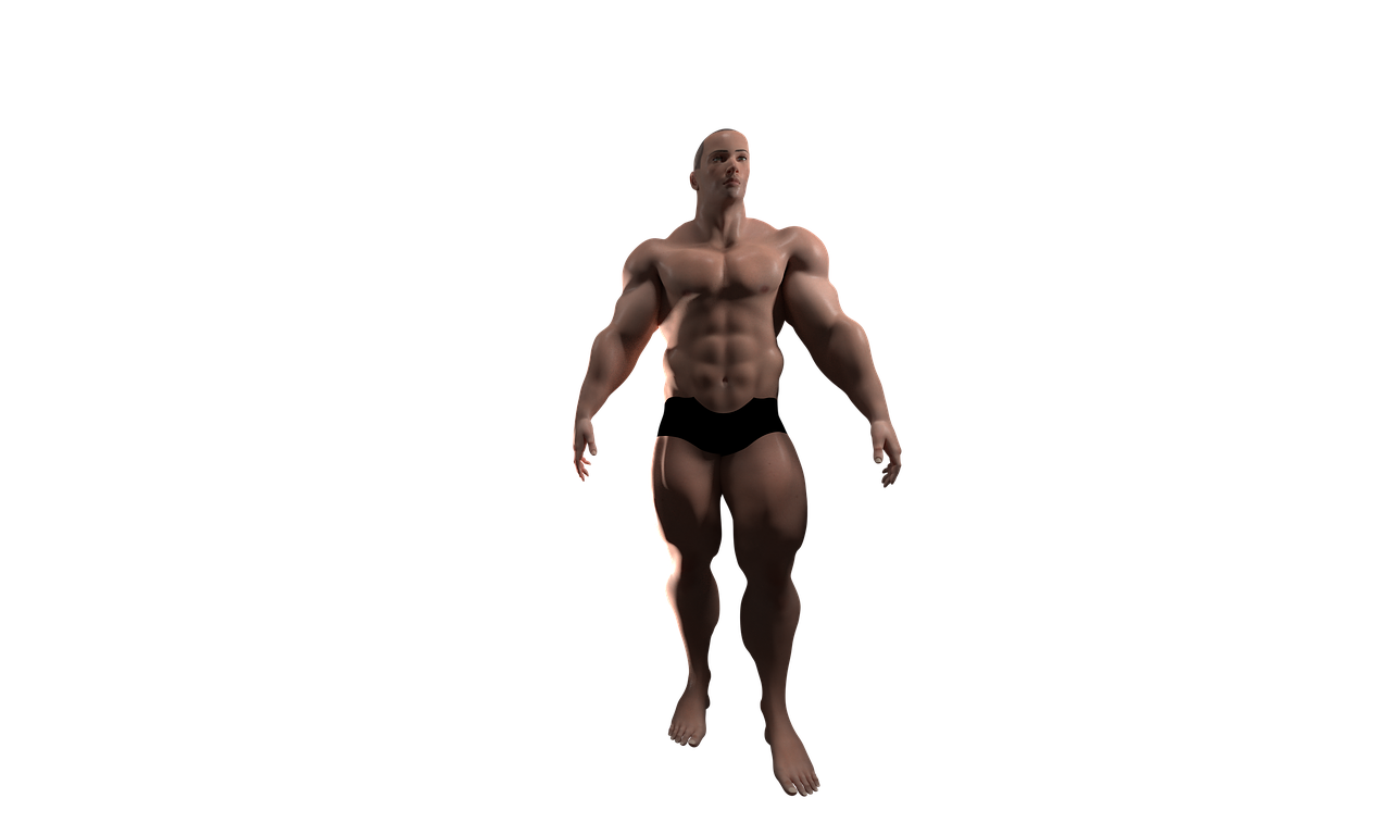 front view 3d avatar muscles free photo