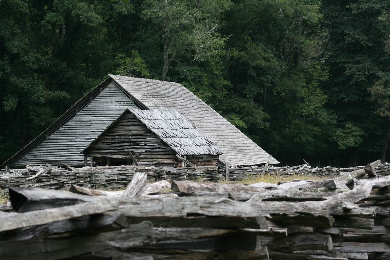 frontier  log  vintage free photo