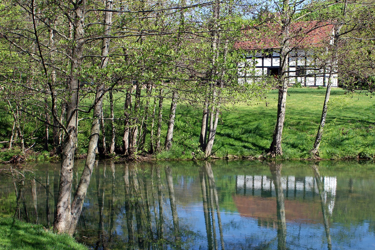 frontier culture museum of virginia  1600's english farmhouse  reflection free photo