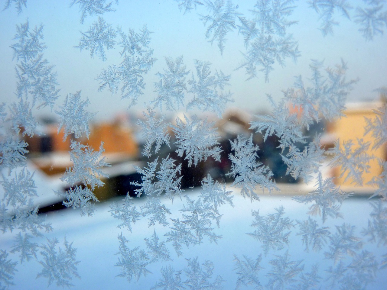 frost winter ice crystals free photo