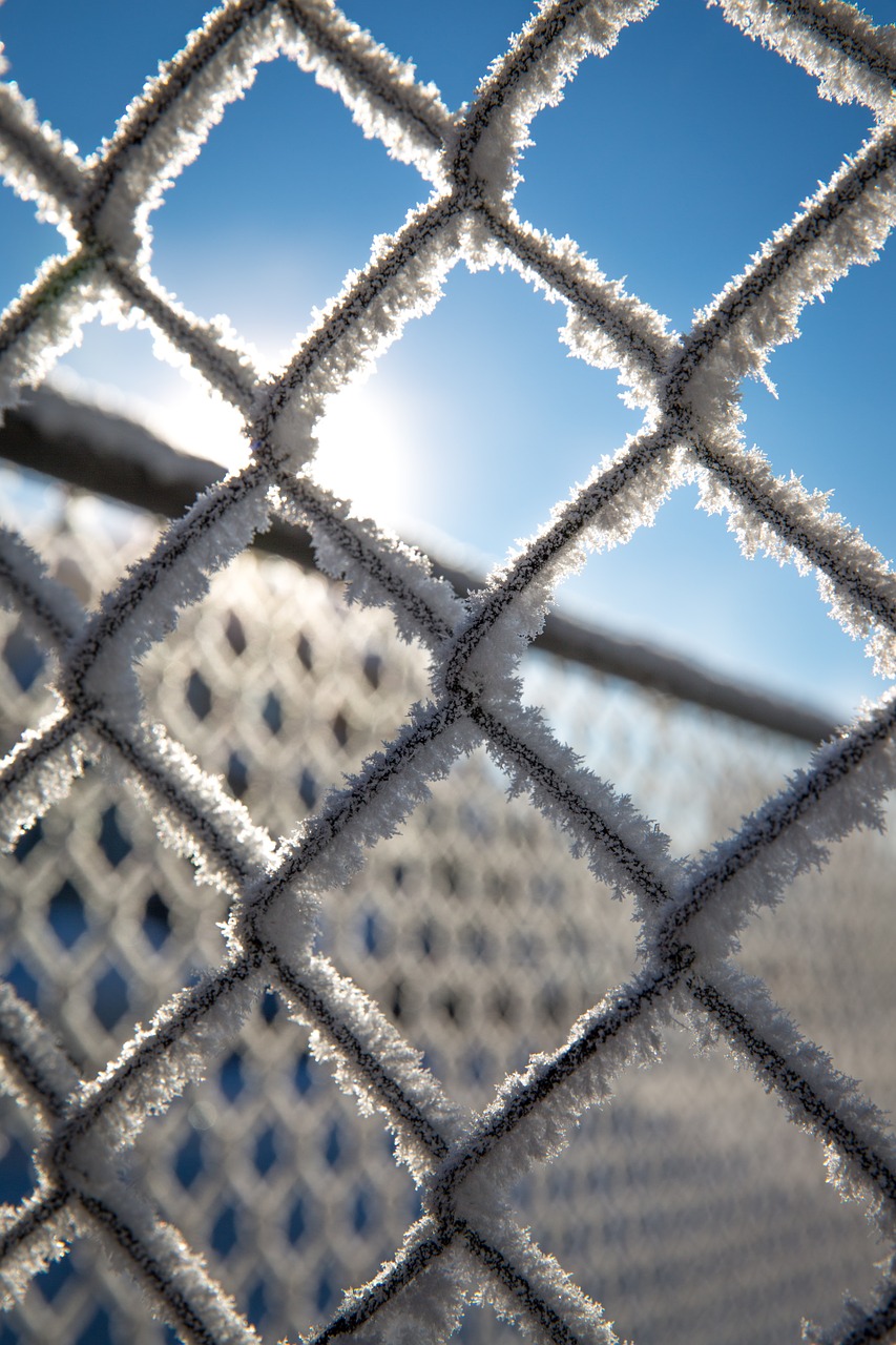 frost winter fence free photo