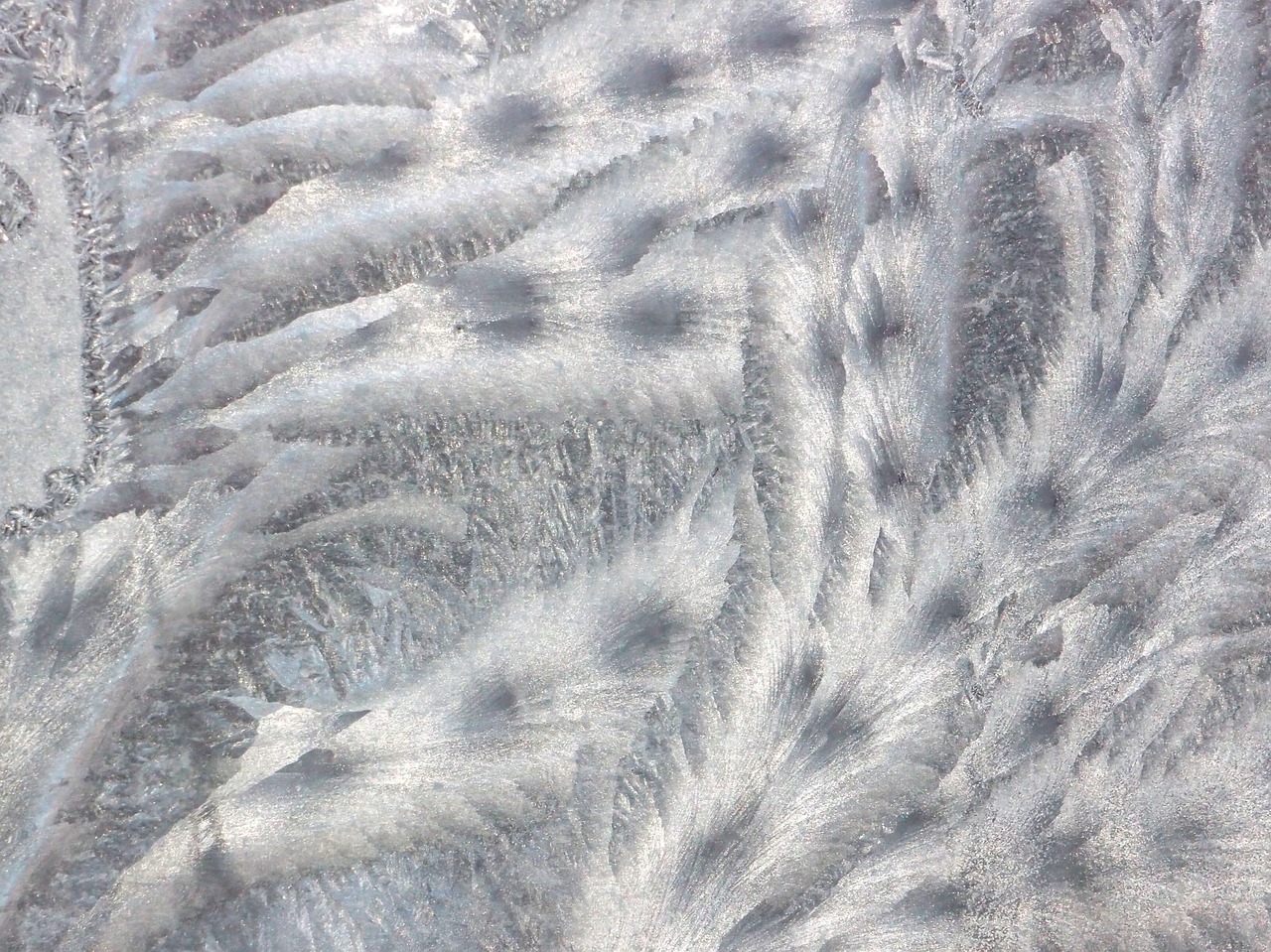 frost window pattern free photo