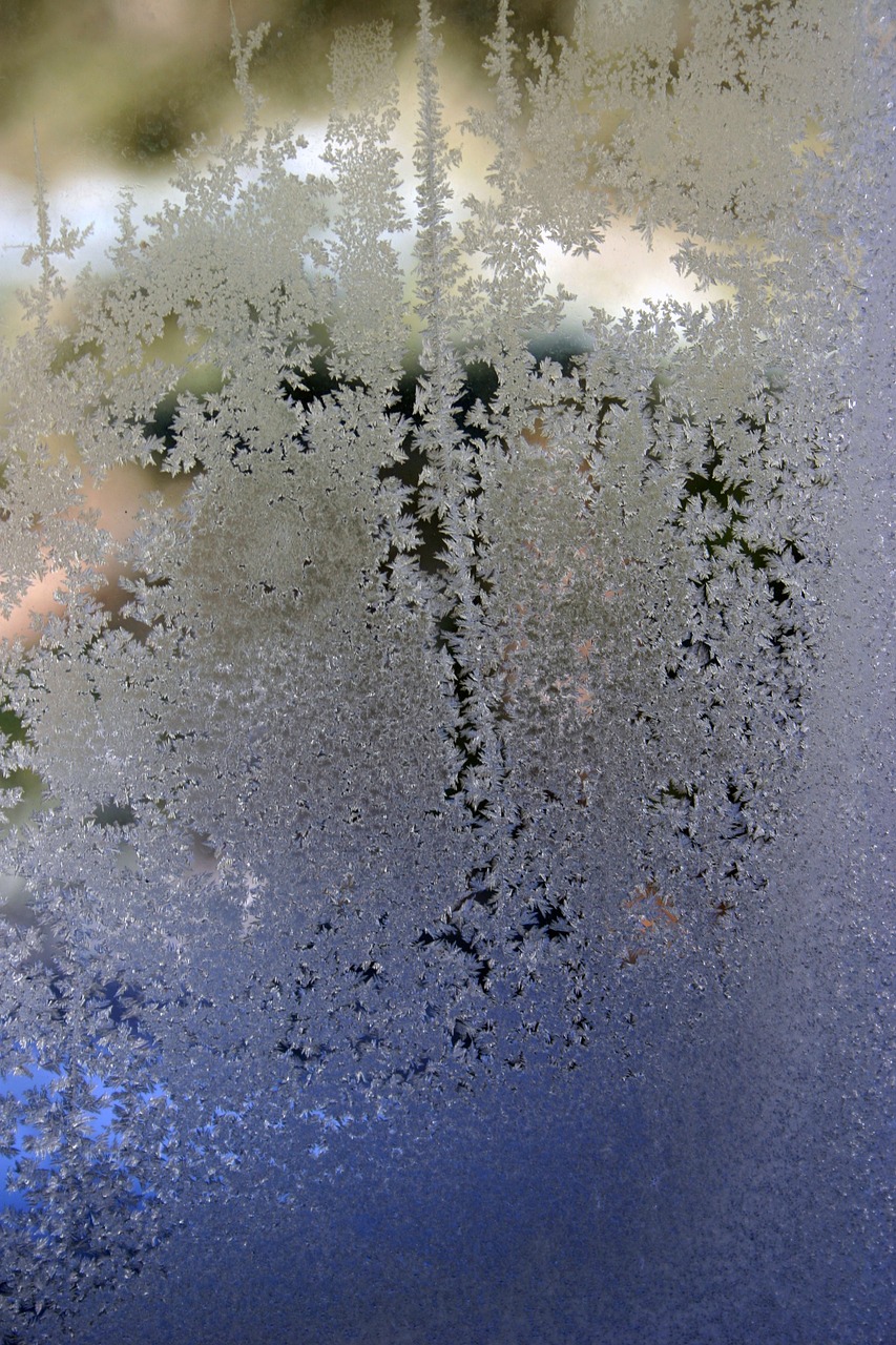 frost window abstract free photo