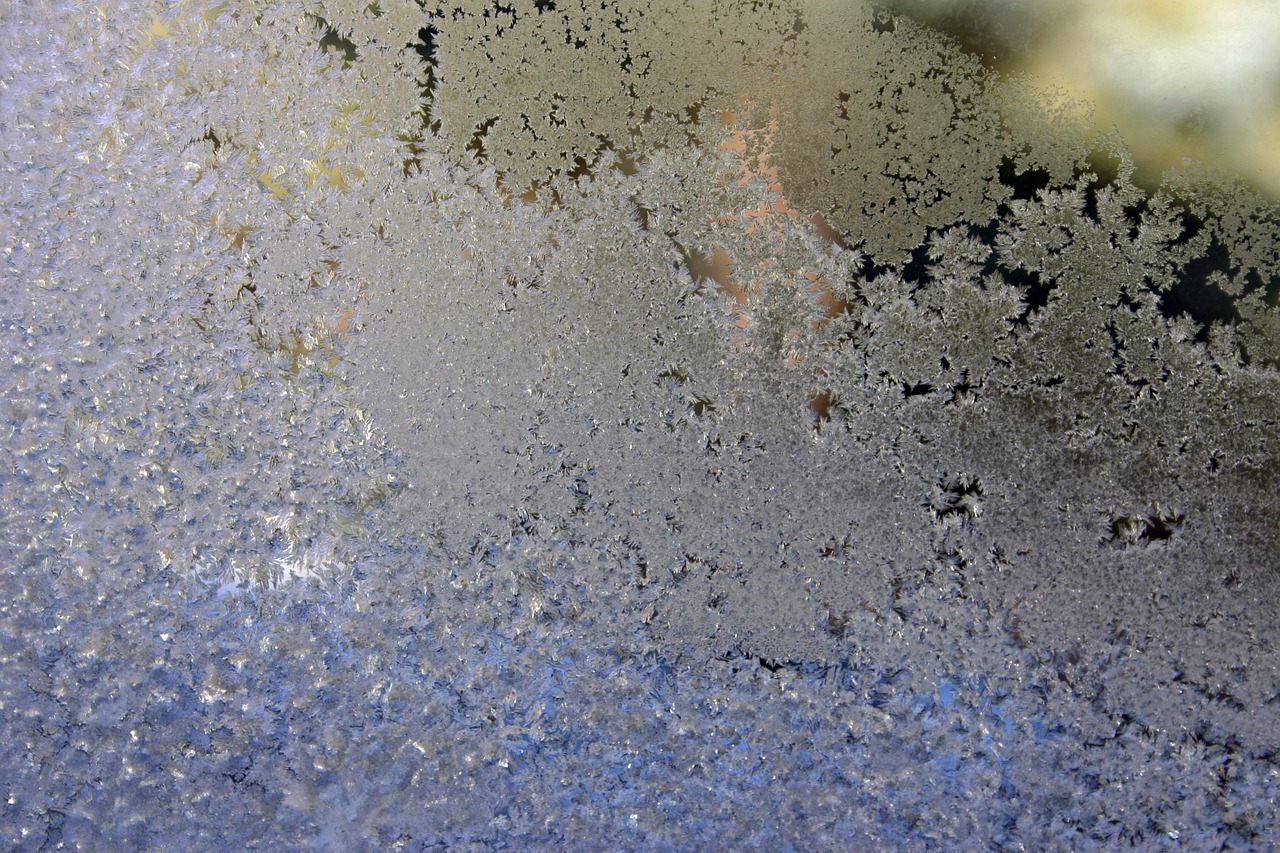 frost window abstract free photo