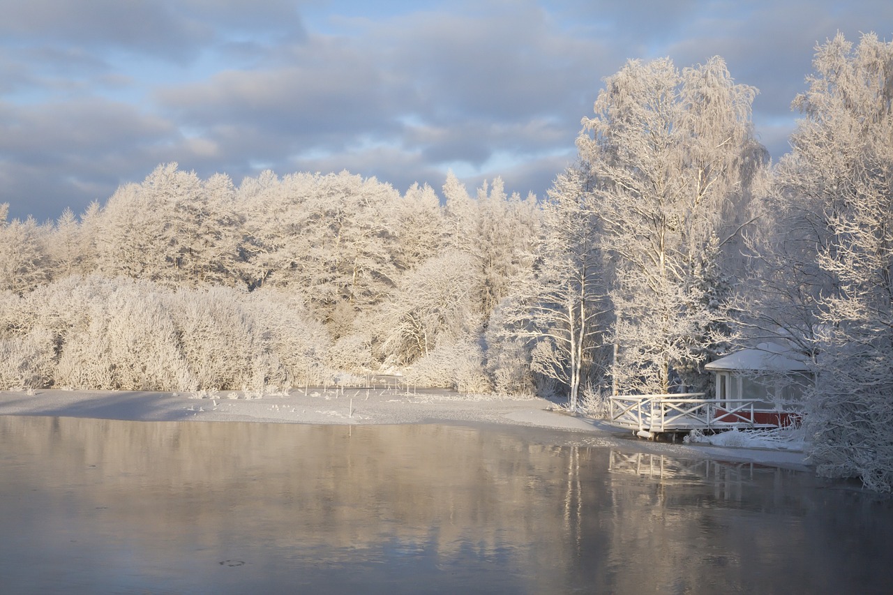 frost winter snowy free photo