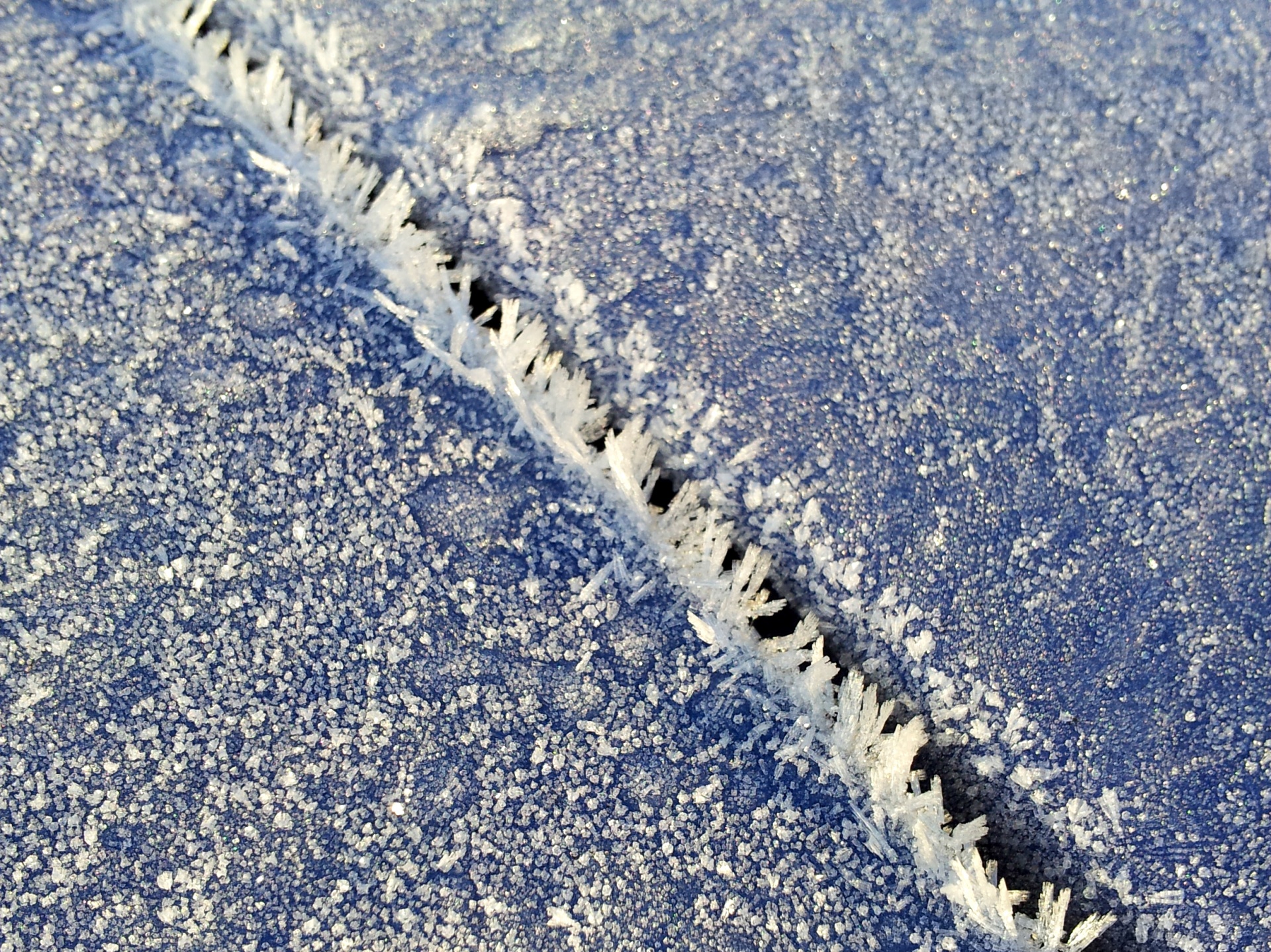 frost ice winter free photo