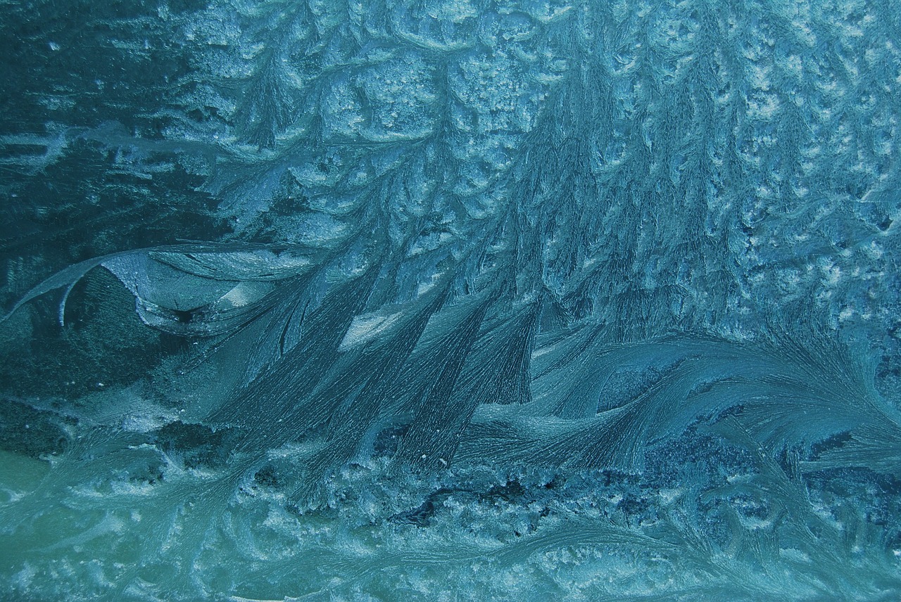 frost frozen freeze free photo