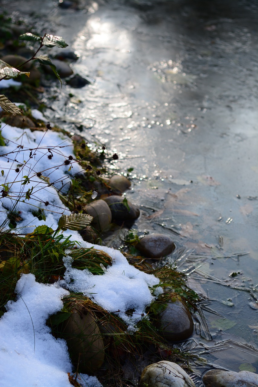 frost pond po free photo
