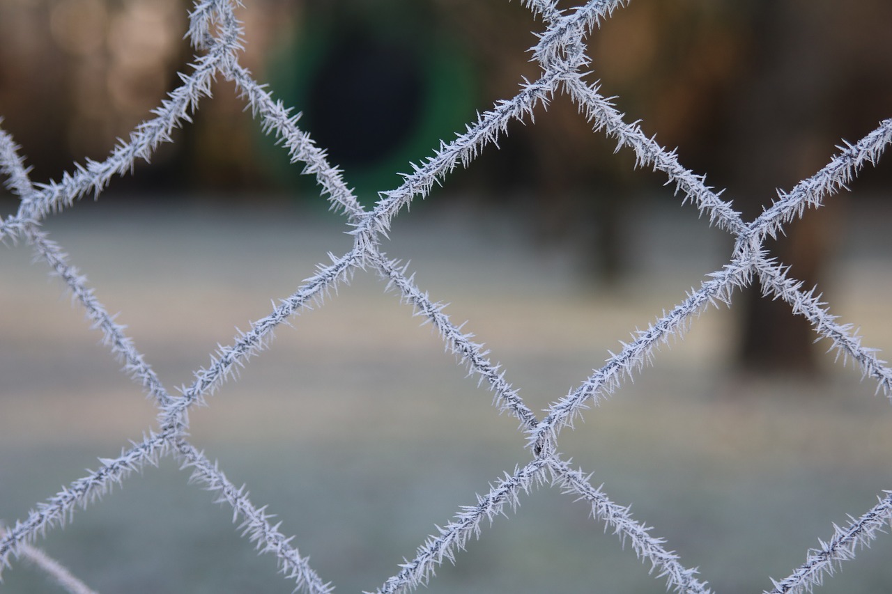 frost hoarfrost wire mesh free photo