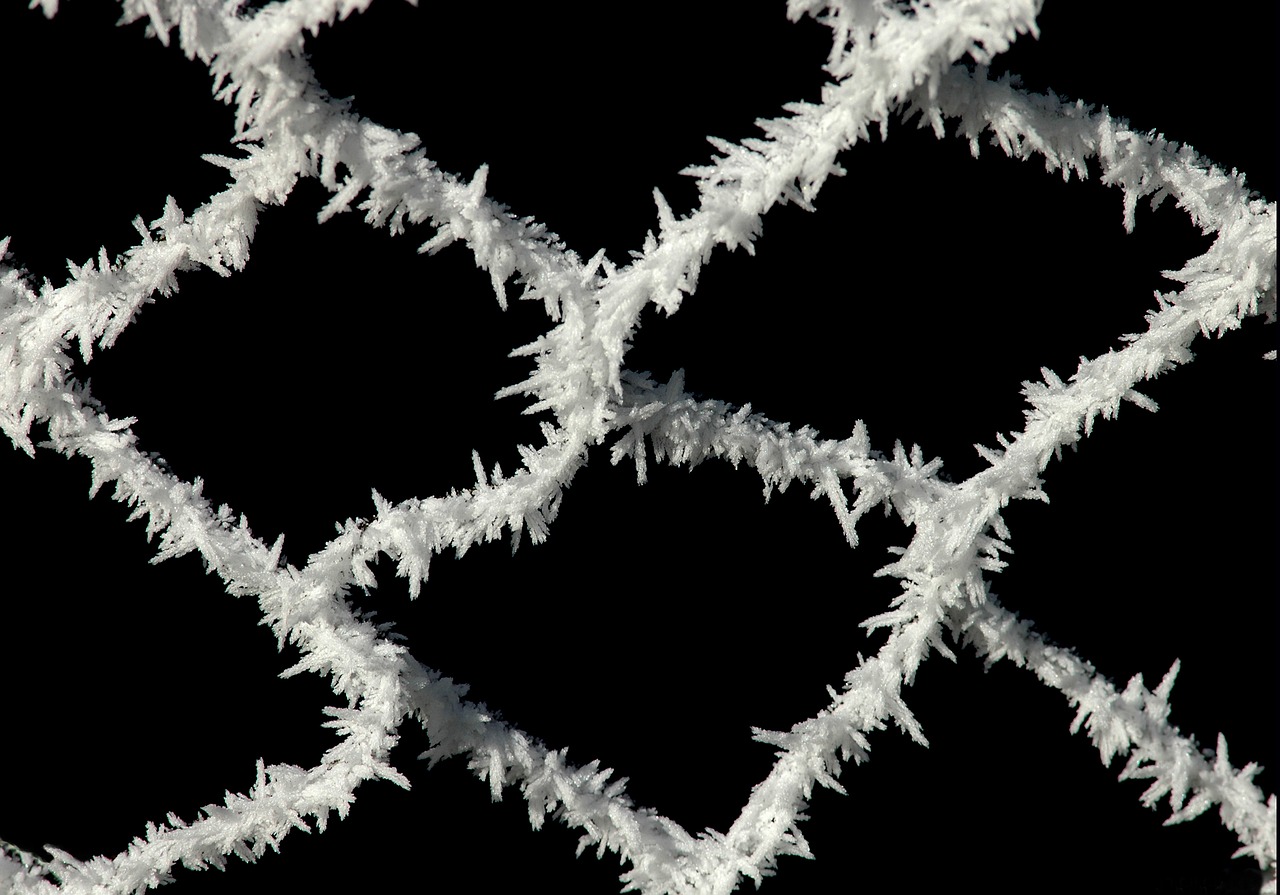 frost fence closing free photo