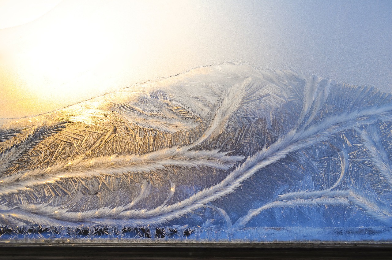 frost patterns ice free photo