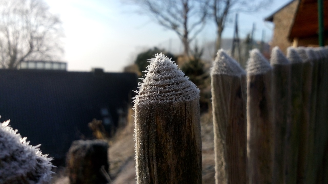 frost garden fence morning free photo