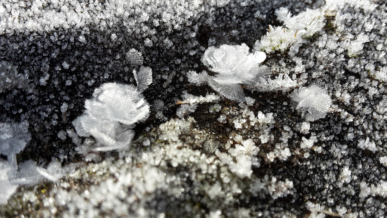 frost hardest winter magic free photo