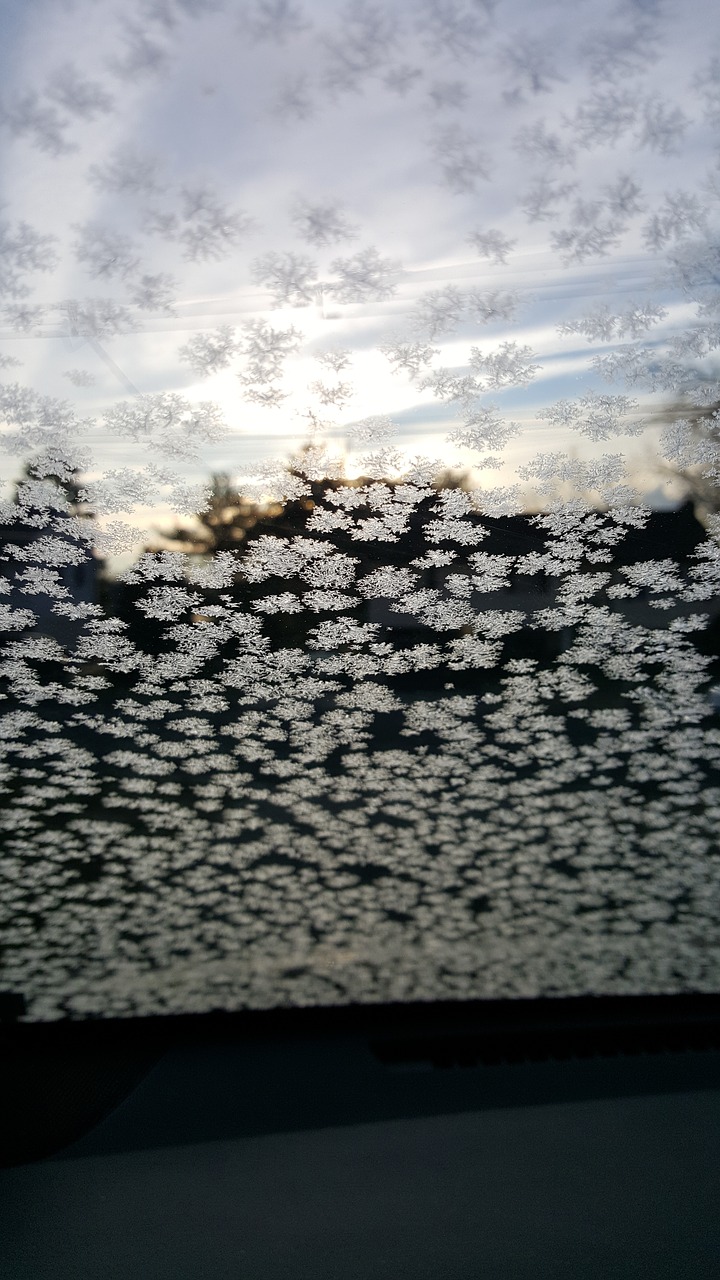 frost morning windshield free photo