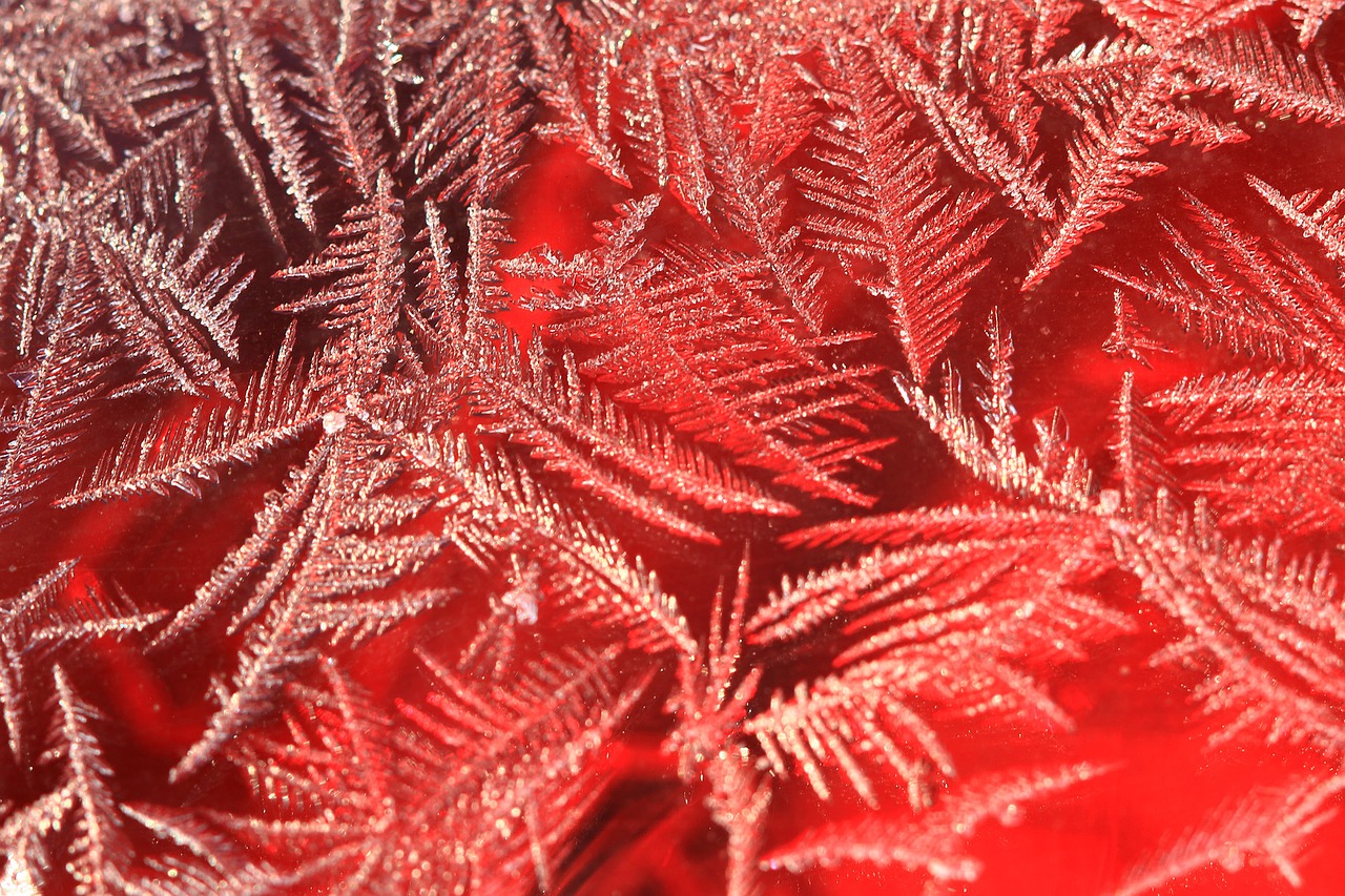 frost ice gel free photo