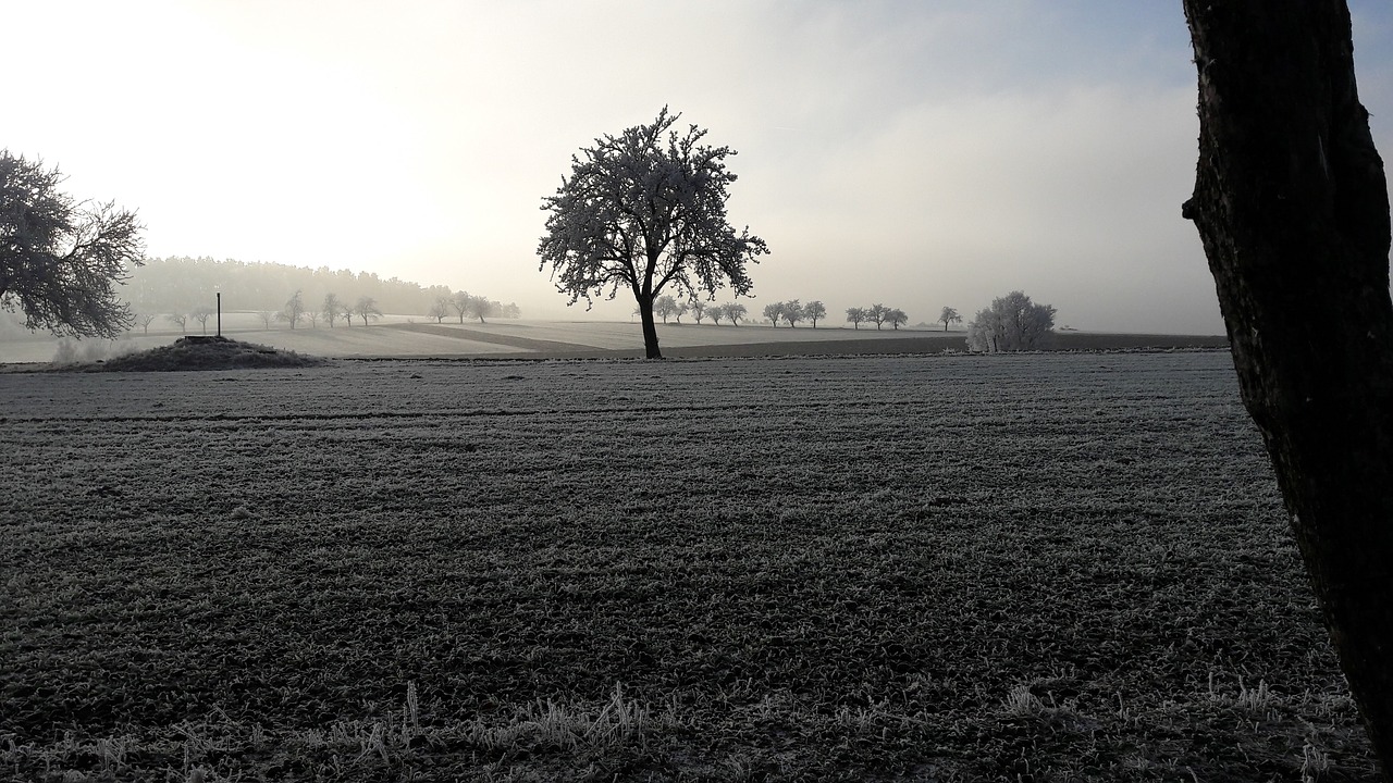 frost snow landscape free photo