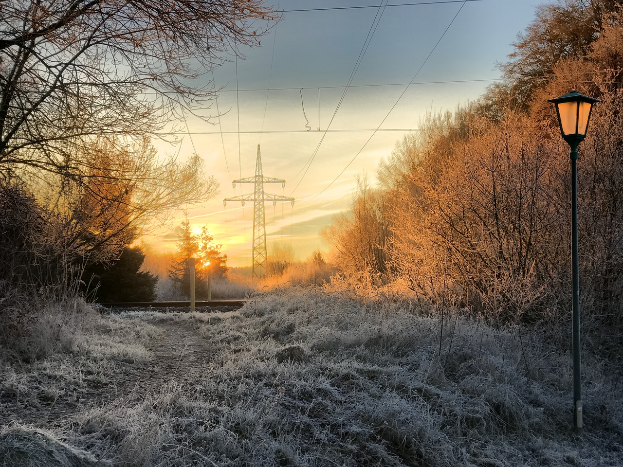 frost hoarfrost winter free photo