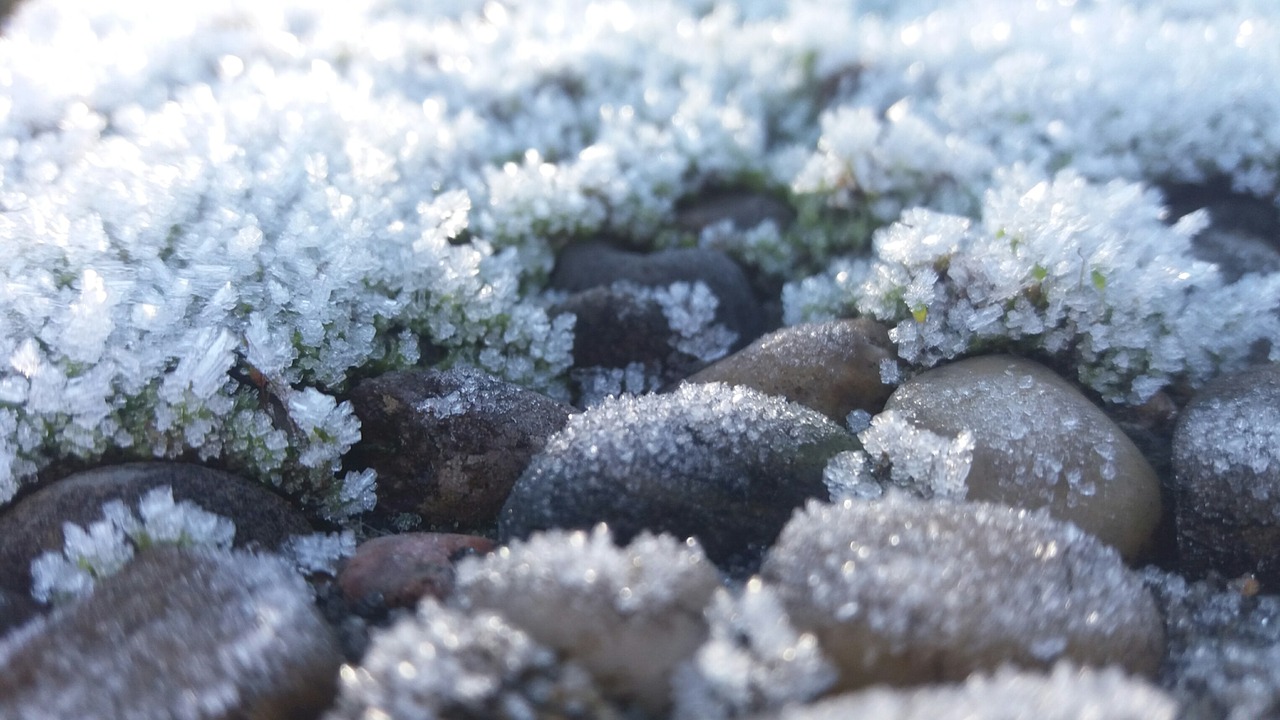 frost winter snow free photo