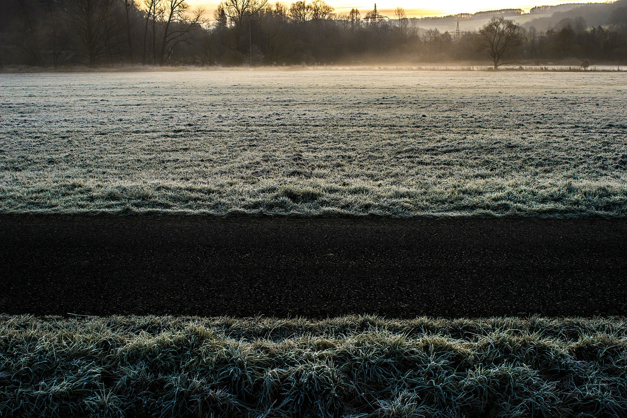frost winter path free photo
