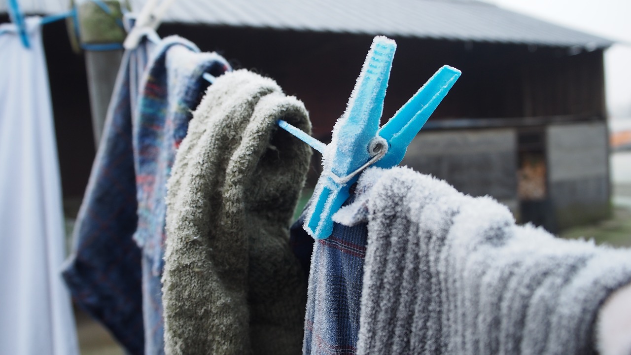 frost  laundry  clothes peg free photo
