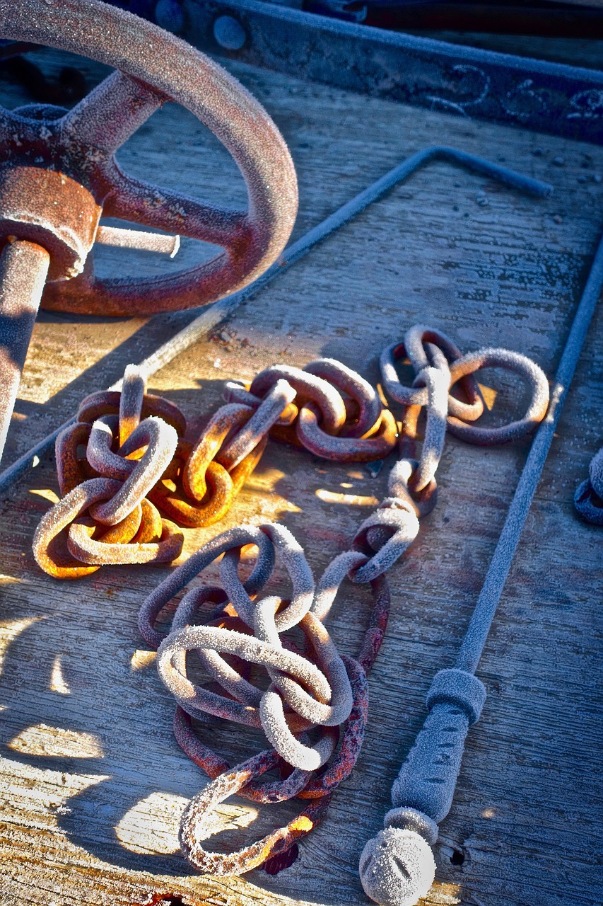 frost  iron  chain free photo