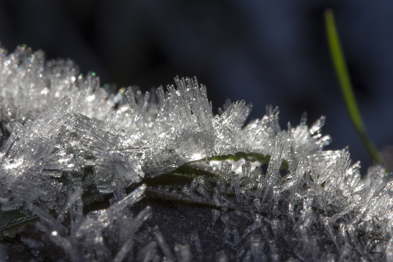 frost  ice crystal  winter free photo