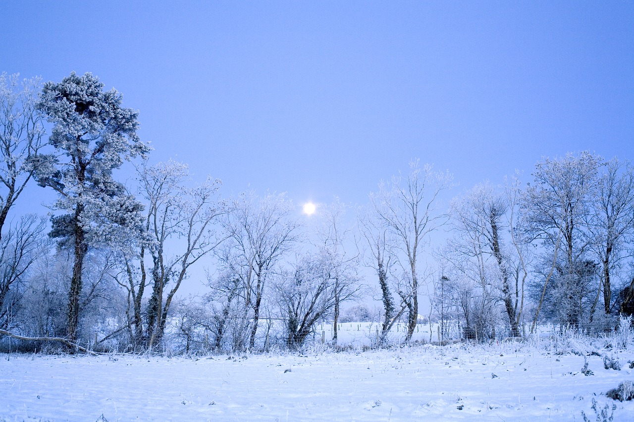 frost  landscape  winter free photo