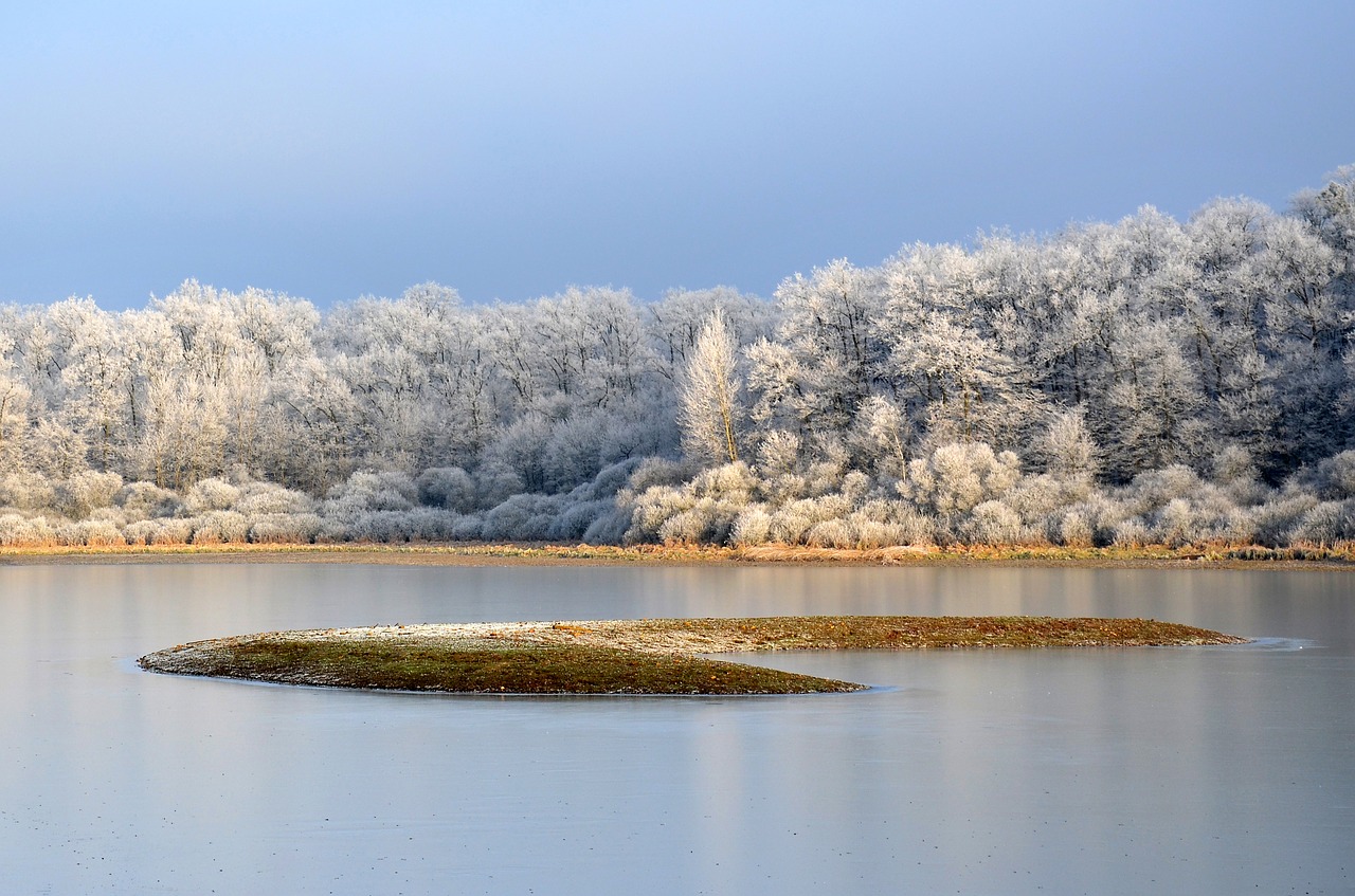 frost  winter  cold free photo