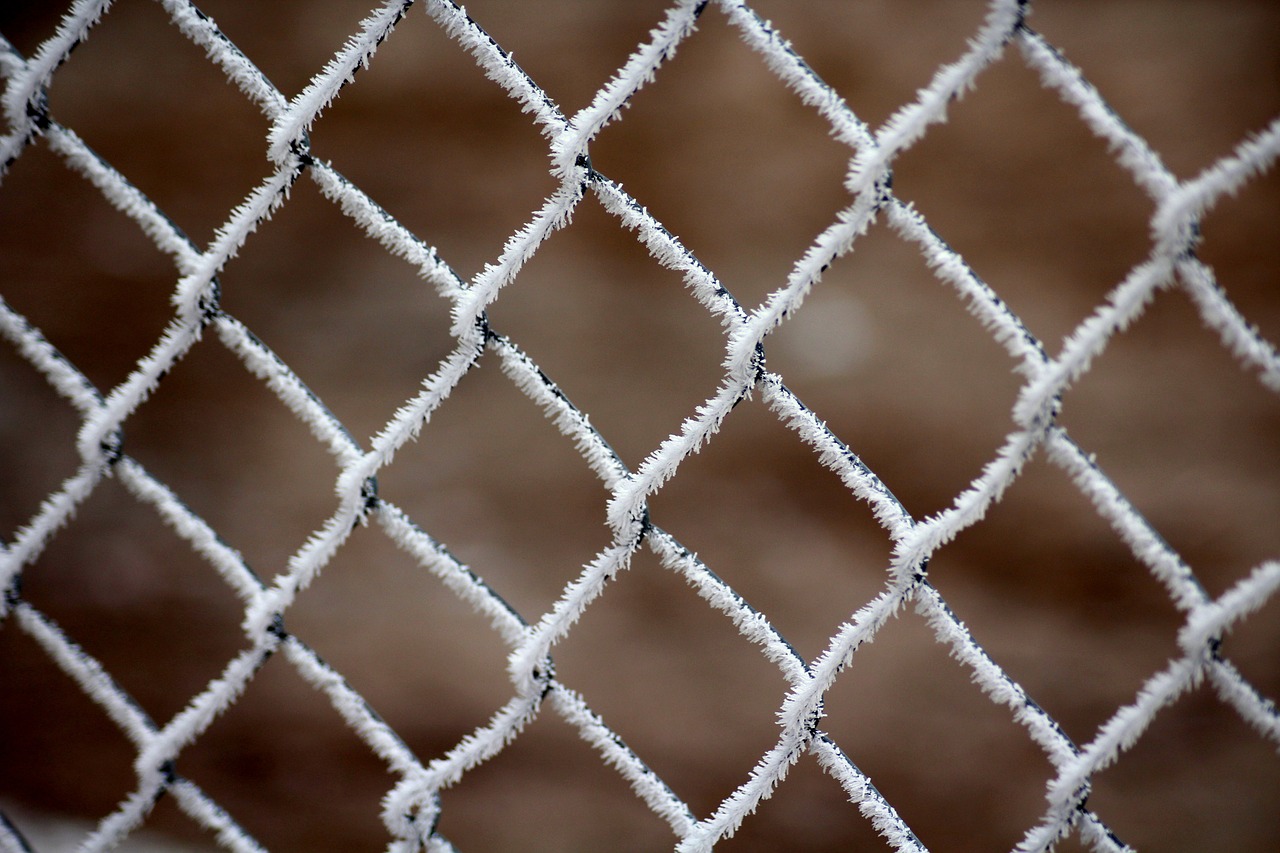 frost  the grid  fencing free photo