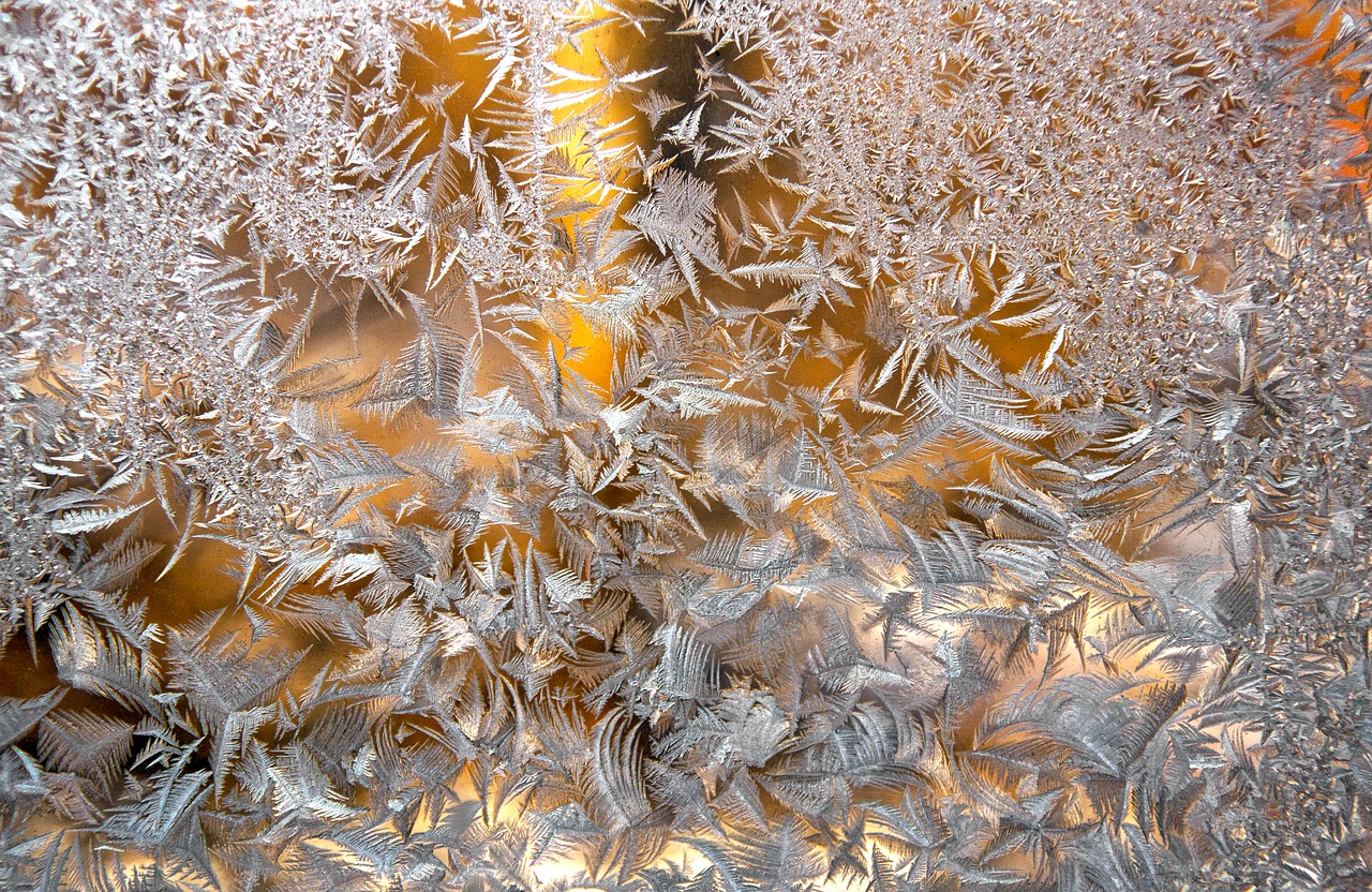 frost  autumn  window cold free photo